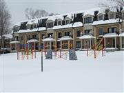 Snow And More Snow