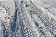 Winter Tracks
