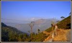 Hill Landscape Of Darjeeling