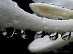 After The Rain
