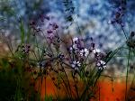 Floral Joy