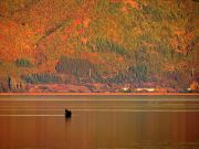 Illiminated Colors