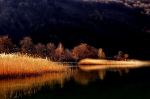 Lake Gold