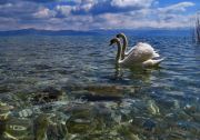 Lake Romance