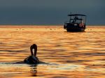 Sunset Sailing