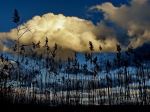 Up To The Sky