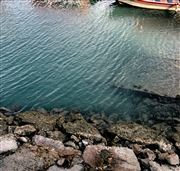 Shallow Depths Of The Sea