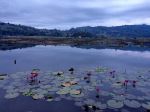 Wonderful Lake