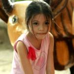 Phiea