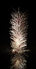 Chihuly Glass