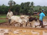 Monsoon In India