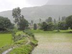 Nashik In Mansoon