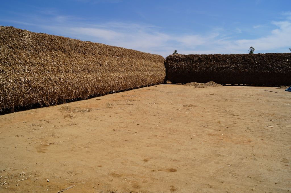 Dried Hay Stack