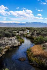 Bog Hot Springs