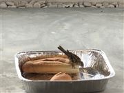 Bird Feeding
