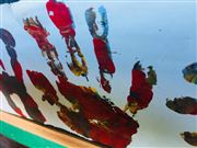 Hand