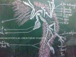 Archaeopteryx Drawn For My Students