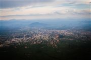 Birds View