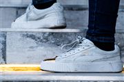 Puma Lights
