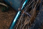 Rust