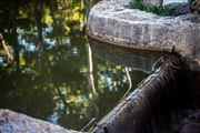 Stream Flow