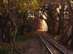 Way To The Fairyland