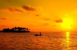 Beautiful Sunset