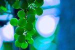 Glowing Grapes