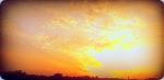 Amber Skies