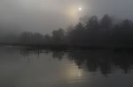 Morning Mist