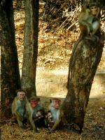 My Family My Life