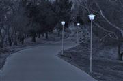 Moonlight Path