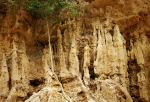  sand Wall