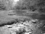 Peaceful Stream