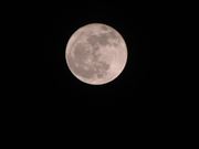 Full-Moon
