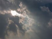 Sun Rays