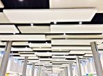 Look Up