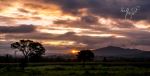 A Sunrise To Remember 