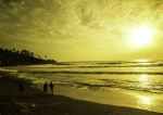 Golden Sunset