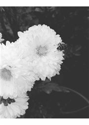 Bee's Love
