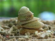 A Pyramide