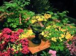 Crystal Ball And Flowers