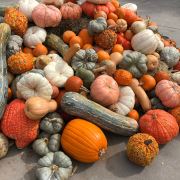 Too Many Pumpkins
