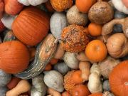 More Pumpkins