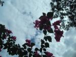 Nice View In A Nice Day