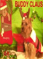 Christmas Buddy