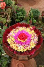 Flowers Decorated