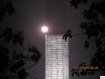 Beauty Of Night