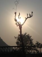 Theres Always A Ray Of Hope Present