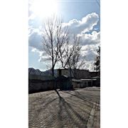 Sunshine In The Spring??